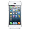 Apple iPhone 5 16Gb white - Сергач